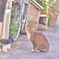 想う