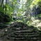 施福寺への参道