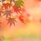 想い出づくり