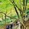 香嵐渓2