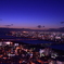 スカイビルからの夜景
