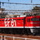 JR EAST  EF81-95  Rainbow Loco