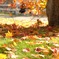 DSCF1828
