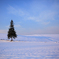 Winter　Morning