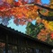 本土寺の紅葉