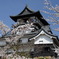 犬山城1