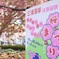 桜まつり