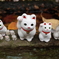 豪徳寺の招き猫