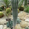 植物園１
