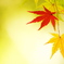 紅一点