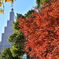 都会の紅葉