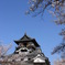城と桜
