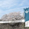舞鶴城公園