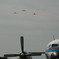 YS-11
