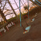 evening park