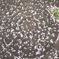 Manhole