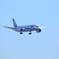 大空に羽ばたく翼