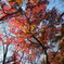 E-M5 Mark2 LargeFine