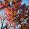 E-M5 Mark2 Hi-Res Shot