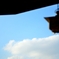 赤城神社  青空