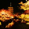 東寺の夜