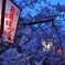 お城祭り