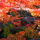 大阪貝塚・水間寺の紅葉