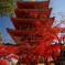 高幡不動です。