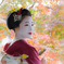 紅葉の萬福寺　其の弐　〜秋彩満ちて〜