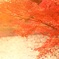橙
