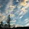 乾いた空