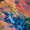 養老渓谷の紅葉♪