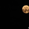 full moon