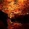大田黒公園の紅葉