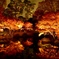 大田黒公園の紅葉