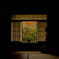 SDIM2657