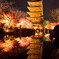 東寺の紅葉ライトアップ
