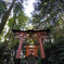 千本鳥居を一周
