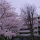 IMGP0356