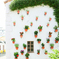Potted Flowers