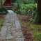お参り(百済寺)