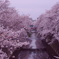 満開