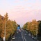 駒沢オリンピック公園
