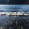 琵琶湖
