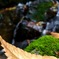 永平寺