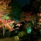 南禅寺ライトアップ
