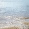 キラキラと･･･琵琶湖にて
