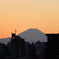 望遠デビューの富士山