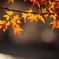 20151207_4