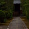妙心寺